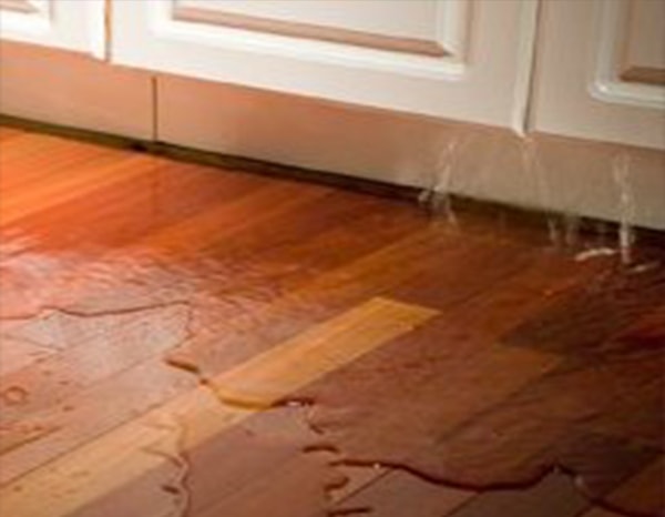 sàn gỗ bị ngấm nước