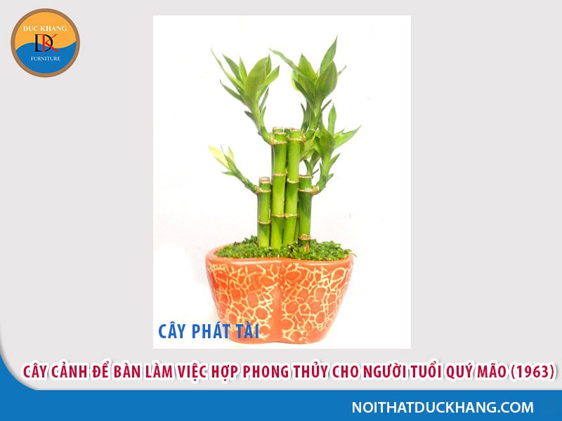Cây để bàn làm việc cho người tuổi Mão - Quý Mão (1963)
