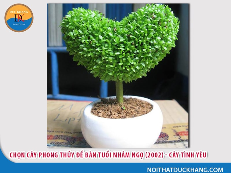 Cây để bàn làm việc tuổi Ngọ - Nhâm Ngọ 2002