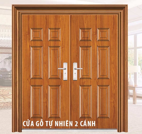 Những mẫu cửa gỗ phòng khách đẹp phổ biến hiện nay