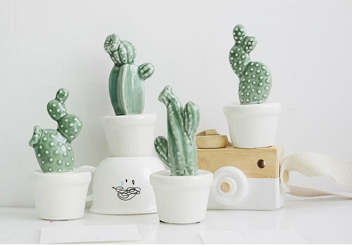 Cây xương rồng có đặc điểm gì thu hút dân văn phòng?