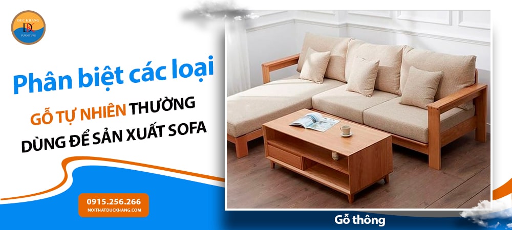 Các loại gỗ tự nhiên thường dùng trong sản xuất sofa - Gỗ thông