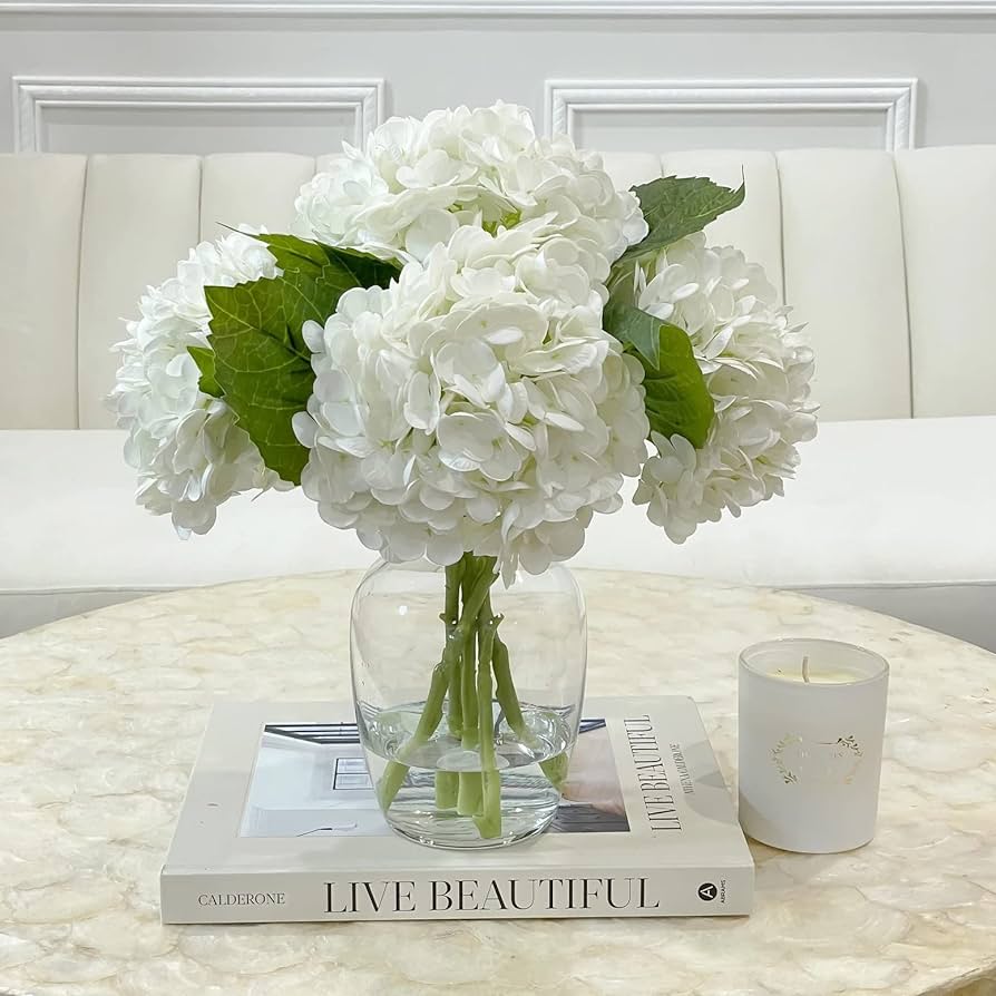 Hoa cẩm tú cầu trắng biểu trưng cho tình yêu, hạnh phúc