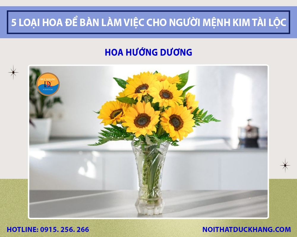 Hoa hướng dương  - mang về những điều tốt đẹp, vui tươi, lạc quan