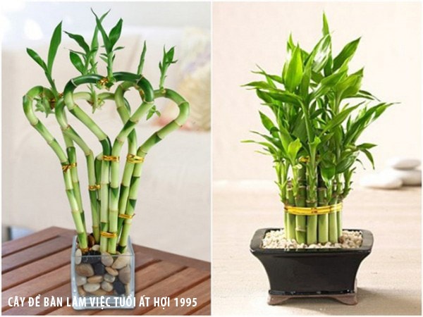 Cách trang trí bàn làm việc cho người tuổi Ất Hợi 1995