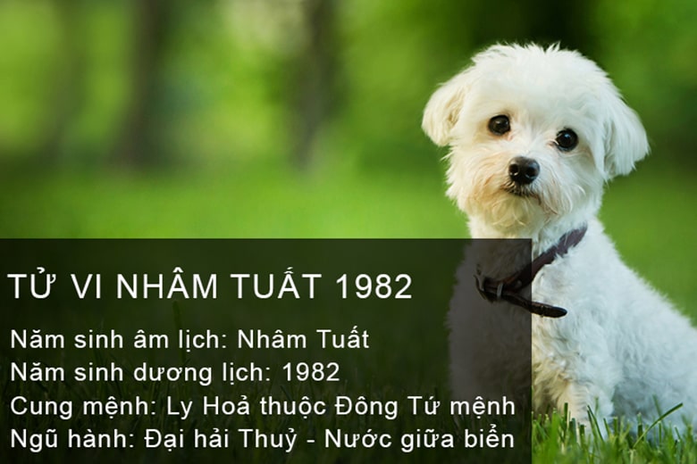 Đôi nét về tính cách và vận số người tuổi Nhâm Tuất 1982
