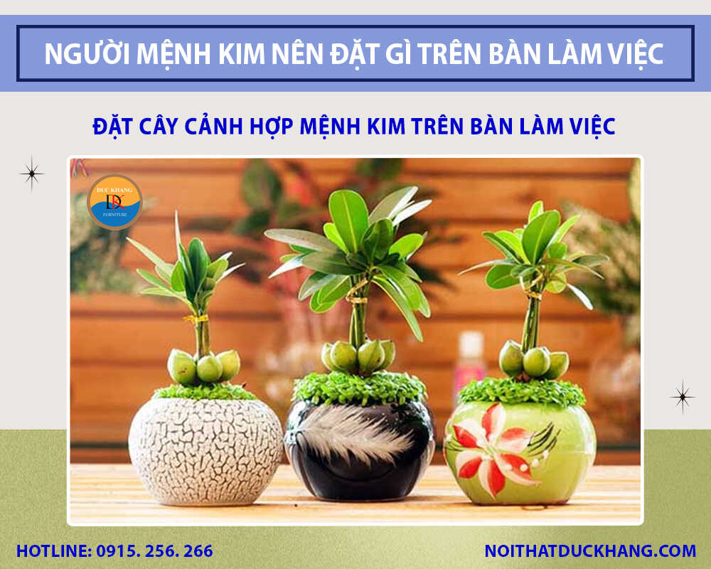 Đặt cây cảnh hợp mệnh Kim trên bàn làm việc
