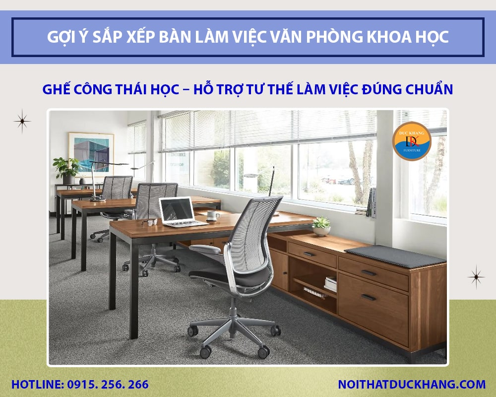 Ghế công thái học - hỗ trợ tư thế làm việc đúng chuẩn